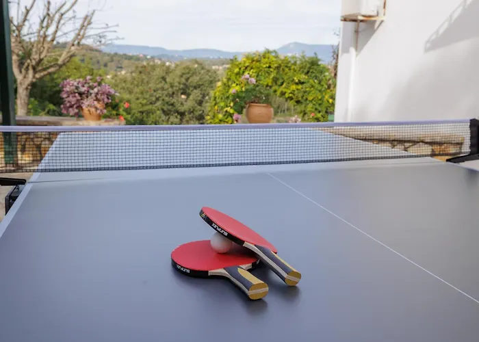 别墅 Magnolia Corfu 帕拉马